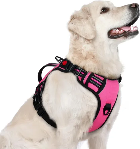 Vista 32 de rabbitgoo Arnés para perro de tamaño pequeño, arnés para mascotas sin tirones con mango acolchado suave, chaleco reflectante ajustable con 3