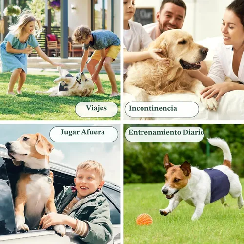Vista 7 de Pañales reutilizables para perros machos, bandas para el vientre lavables premium para perros machos, paquete de 5, envolturas extra pequeñas