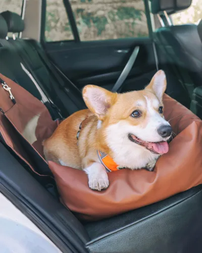 Vista 2 de Owleys Asiento de automóvil para perros pequeños, asientos traseros de automóvil lavables para perros, asiento de viaje para perro, asiento