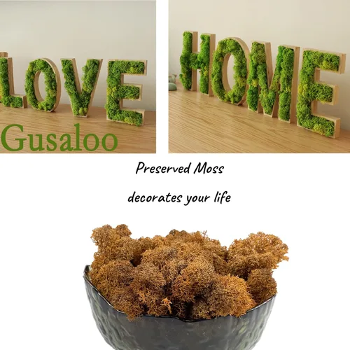 Vista 3 de Musgo artificial conservado, musgo natural fresco verde de reno para proyectos de artes florales, decoración de pared, decoración de mesa, centros