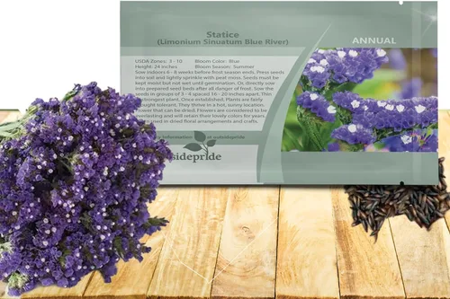 Outsidepride Blue Statice - 1000 semillas de flores anuales fáciles de cultivar tolerantes a la sequía para arreglos florales, bordes y jardín