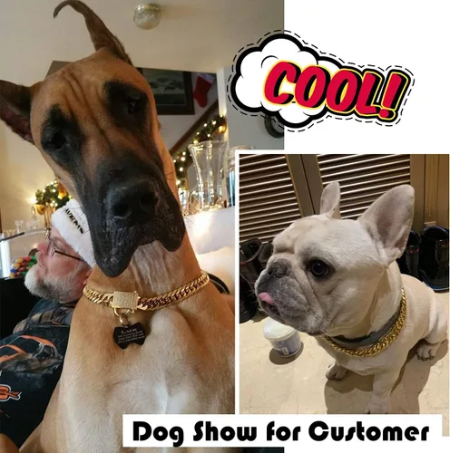 Vista 5 de PRADOG Collar de perro con cadena de oro con cierre de circonita, acero inoxidable de 18 quilates, collar de metal resistente para cachorros, collar