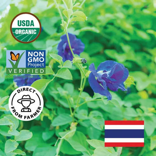 Vista 2 de INCAS 100% USDA Organic Butterfly Pea Flower & Chrysanthemum Tea Bundle Hoja suelta procedente de Tailandia, sin cafeína