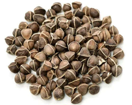Vista 9 de Moringa Seeds sin alas, 1 onza, variedad PKM1, aperitivos comestibles, plantación, moringa oleifera, malunggay, semillas de moringa, árbol