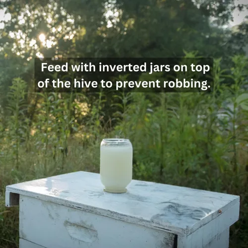 Vista 2 de Amino-B Booster - Jarra de 1 galón, proteína líquida vital para la salud de las abejas