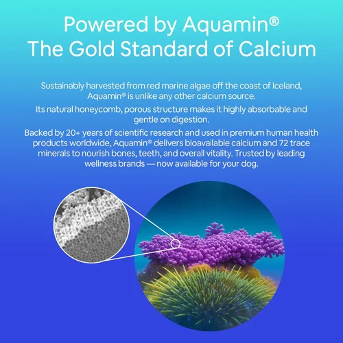 Vista 2 de Seaweed Calcium for Pets, Powder 14oz, Essential Supplement, Add to Raw or Homemade Foods, Cleaner Source of Calcium Than Bone Meal or Eggshell