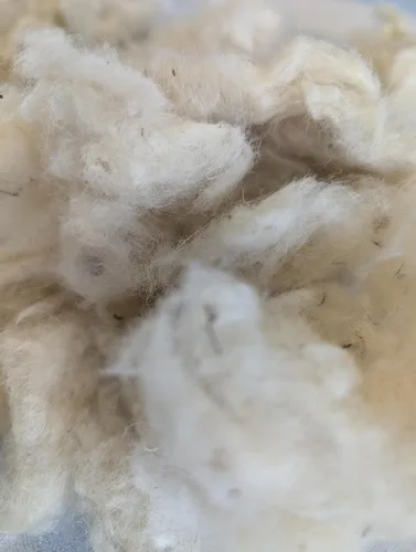 Vista 2 de Relleno de lana de 1 libra de oveja lavada cruda corta fibra natural noil w/escombros para relleno almohada cojín juguetes bolas secadora muñecas