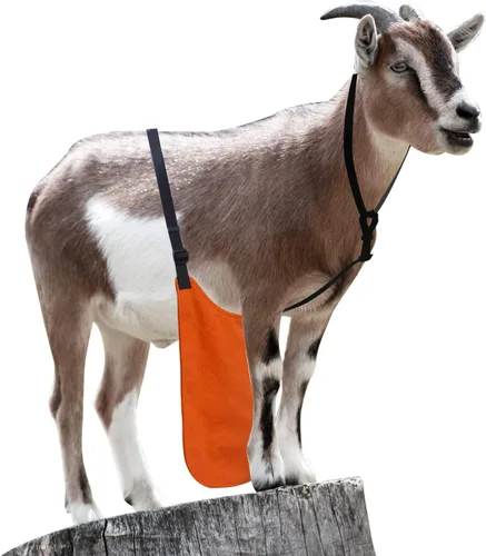 Vista 8 de Anti Breeding Buck Delantal Anti Apareamiento Falda con Correa de Pecho para Cabras Ovejas