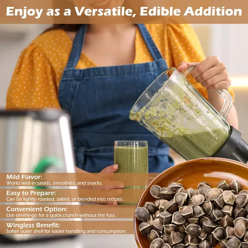 Vista 6 de Moringa Seeds - Tarro de boca ancha de 1 libra sin alas - Variedad PKM1 - Bocadillos comestibles - Plantación - Moringa Oleifera - Malunggay