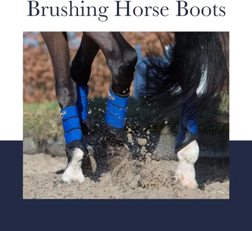Vista 3 de LeMieux Grafter Brushing Horse Boots - Equipo de protección y equipo de entrenamiento - Botas equinas, envolturas y accesorios