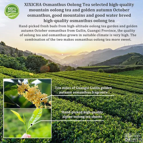 Vista 2 de XIXICHA Osmanthus Oolong Tea Taiwan Tea Oolong Tea Hoja suelta Osmanthus Fragrans Té dulce y aromático Sabor dulce y aromático (100 tazas) 5.29