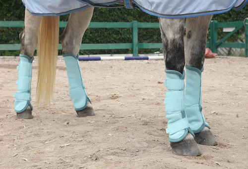 Vista 5 de LEAFOREST Juego de 4 botas para mosca de caballo, protección antideslizante para piernas para burro mini pony, botas de malla transpirable para Azul