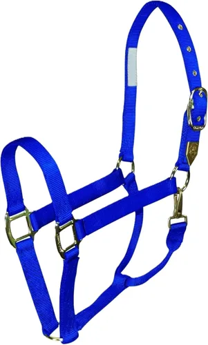 Vista 12 de Hamilton 1 cabestro de caballo con broche, tamaño pequeño (500-800 libras), bayas