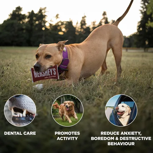 Vista 4 de HERSHEY'S Juguetes para perros - Lindos juguetes para cachorros