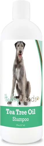 Vista 86 de Healthy Breeds Chow Chow Champú de aceite de árbol de té, formulado para pieles secas e irritadas, reduce la caspa, aroma de gaulteria, 8 onzas