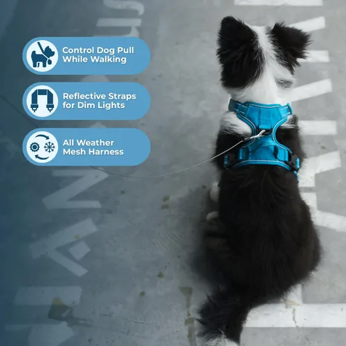 Vista 5 de Voyager Arnés para perro con doble correa con control sin tirones, ajustable, suave pero fuerte para mascotas, para perros medianos y grandes