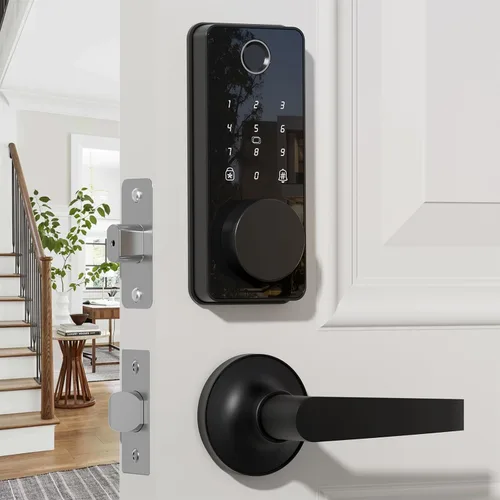 Biquole - Cerradura inteligente con manijas, cerradura de puerta de huellas dactilares con control de aplicación, juego de cerradura de puerta sin