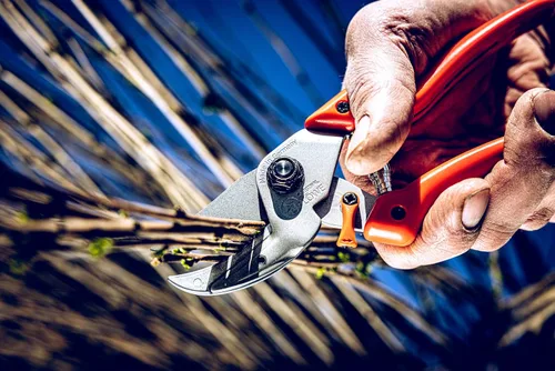 Vista 3 de Original LÖWE Profi Yunque Prunner Herramientas de jardín 8.107 con geometría de derivación Cortasetos robusta y afilada Uso como podadoras