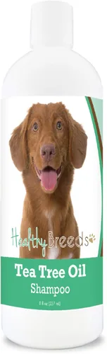 Vista 45 de Healthy Breeds Chow Chow Champú de aceite de árbol de té, formulado para pieles secas e irritadas, reduce la caspa, aroma de gaulteria, 8 onzas