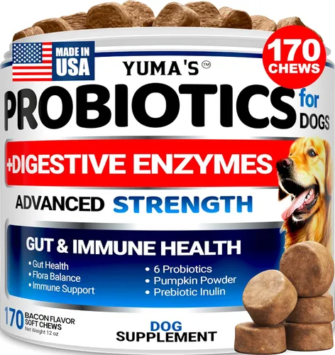 Probióticos para perros y enzimas digestivas 170 probióticos masticables para perros Probiótico para perros Anti diarrea, malestar estomacal y