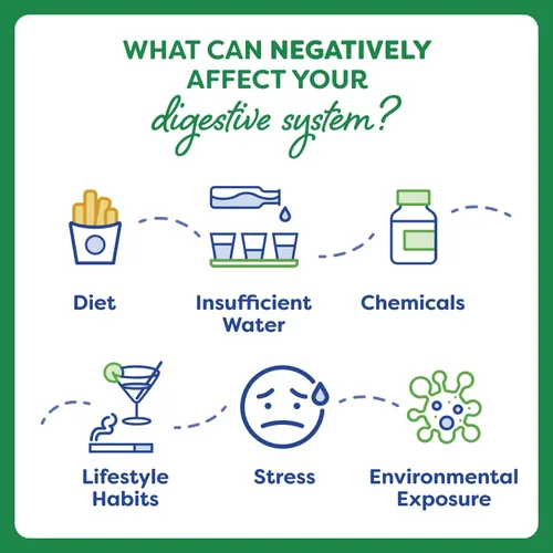 Vista 5 de Probulin Probiótico Total Care, soporte intestinal diario para adultos, 20 mil millones de UFC, 30 cápsulas