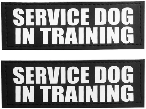 Vista 10 de Fairwin Parches para perro, etiquetas reflectantes y extraíbles para arnés de perro de chaleco de servicio (no mascotas, XS: 3.5 x 1 pulgadas)