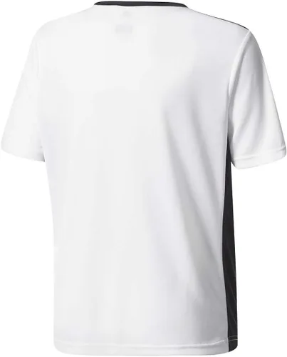 Vista 3 de adidas Boys Entrada 18 Jersey