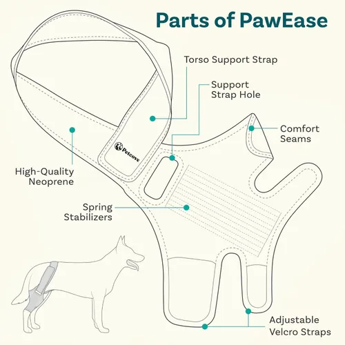 Vista 2 de Rodillera para perro para desgarrarse Acl patas traseras de perro para patas traseras tamaño mediano para perro Acl soporte para pierna trasera