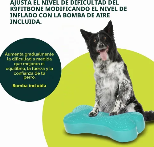 Vista 6 de FitPaws® K9FITbone® Plataforma de equilibrio para perros, equipo de rehabilitación + ejercicio, aguamarina Azul aguamarina
