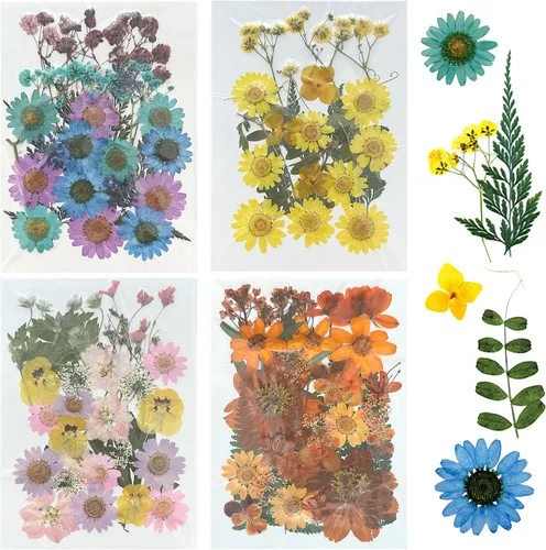 Woohome 110 flores prensadas reales, flores secas prensadas, coloridas flores prensadas reales para resina, arte de uñas, álbumes de recortes