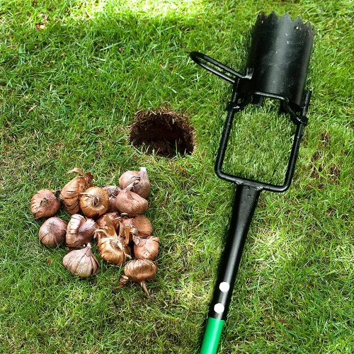 Vista 5 de Altdorff Herramienta Plantadora de Bulbos, Sacabocados de Césped con Mango Largo y Base Dentada, Herramienta de Jardín 5 en 1 para Tapones de Césped