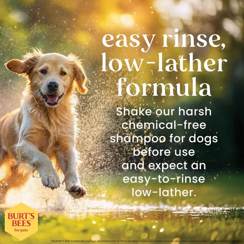 Vista 7 de BURT'S BEES FOR PETS Champú calmante para la picazón con madreselva, 2 unidades, fórmulas de origen 95% natural, champú para perros con picazón