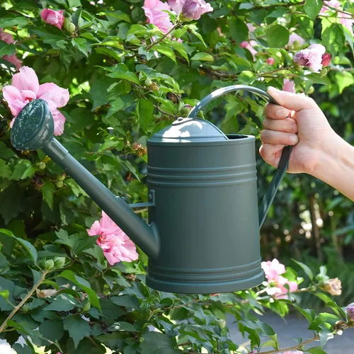 Vista 8 de Regadera de plástico para plantas de interior, flores de jardín al aire libre, regadera para plantas de interior con cabezal de aspersor