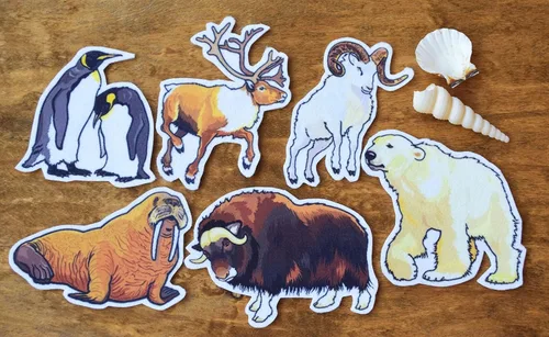 Arctic Animal Board Story Flannel Creative Play Felt Board Set Teacher Stories Preschool Imagination Biology Toys Learning Set Travel Game Gift