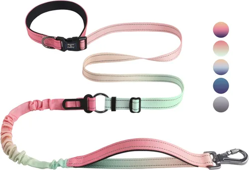 Vista 21 de Roses&Poetry Correa de Perro Manos Libres con Bolsa con Cremallera, Correa Elástica de Cintura de 6-9 pies para Caminar con Perros Medianos