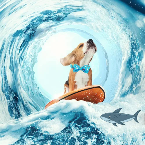 Vista 5 de Collar para perro, con estampado de tiburón, collar para cachorro, collar para mascotas, collar de lazo para perros, suave, duradero, ajustable