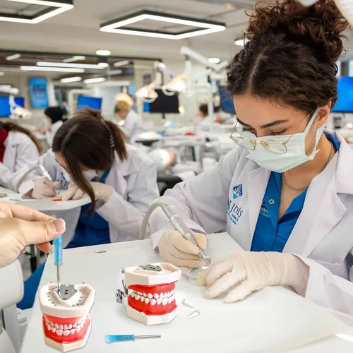 Vista 7 de Modelo de enseñanza dental con dientes de entrenamiento para estudiantes y profesionales, dientes de resina desmontables con encías suaves