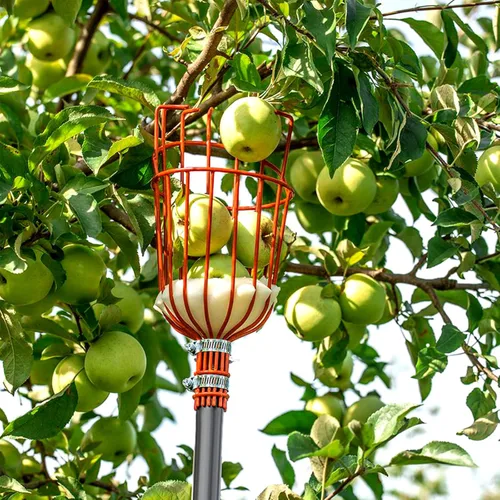 Vista 7 de Walensee Recolector de frutas de 5.5 pies, herramienta ajustable para recoger frutas con poste de acero inoxidable ligero y canasta grande,