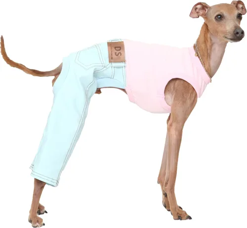 Vista 45 de D Doggy Star - Ropa de galgos italianos, enterizo elástico de neón para primavera y verano (talla S, naranja Onsi)