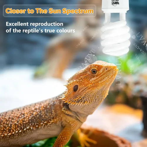 Vista 2 de LUCKY HERP Luz de reptil UVA UVB 10.0, lámpara fluorescente compacta Desert UVB 150, luz UVB para reptiles de 23 W, bombilla para reptiles UVA UVB