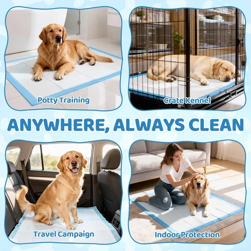 Vista 2 de Almohadillas extra grandes para orina de perro, 34 x 28 pulgadas, súper absorbentes, a prueba de fugas, secado rápido, para cachorros y perros, uso