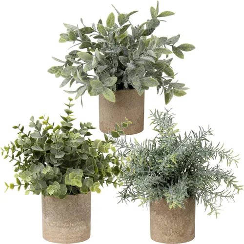 Variación 5